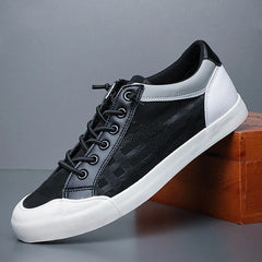 Black / White
