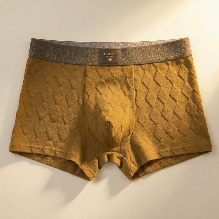 Ivan Cotton Boxer Brief