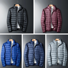 All 5 Colors