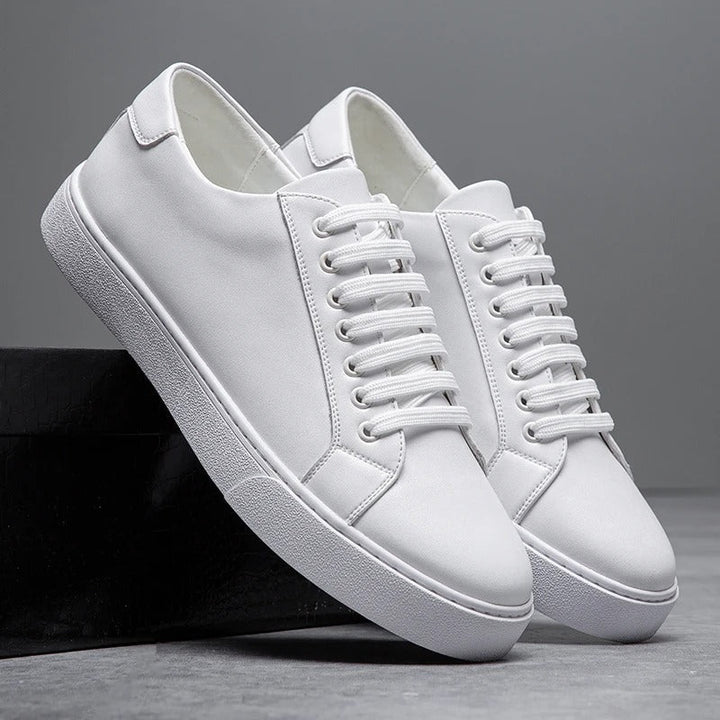 Harrington Low-Tops