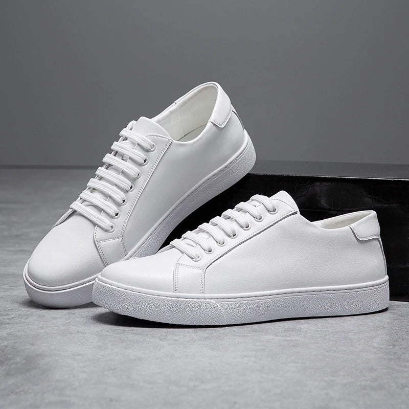Harrington Low-Tops